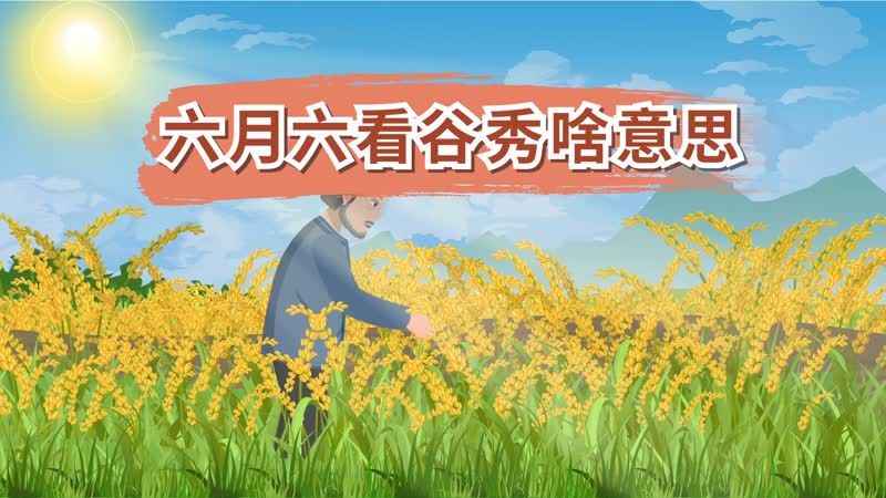 六月六看谷秀的意思是指农历六月初六观看庄稼抽穗开花,其中包含了