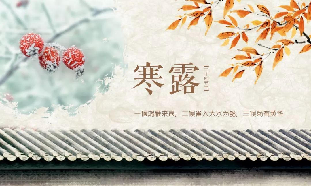 寒露过后是什么节气