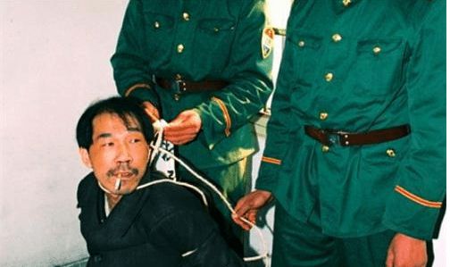 法子英关人的铁笼子图片