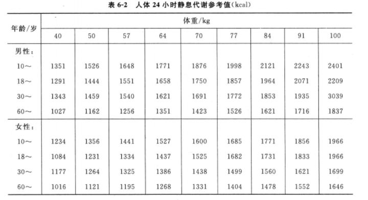五行经络养生代谢减肥_基础代谢率减肥法_经络代谢减肥原理