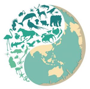 不可或缺的生态系统服务和不可估量的价值