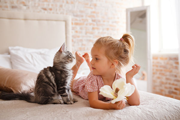家有孕妇和小孩不能养猫？
