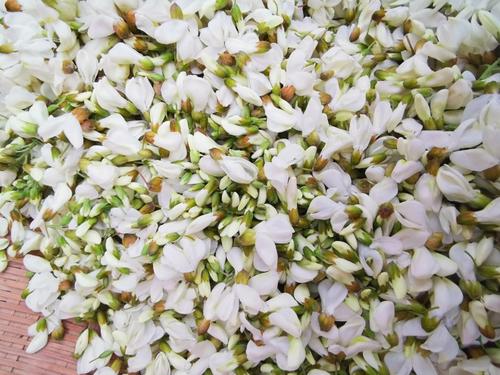 洋槐花怎么保存时间长