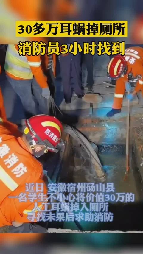 价值30万耳蜗掉厕所消防3小时找到