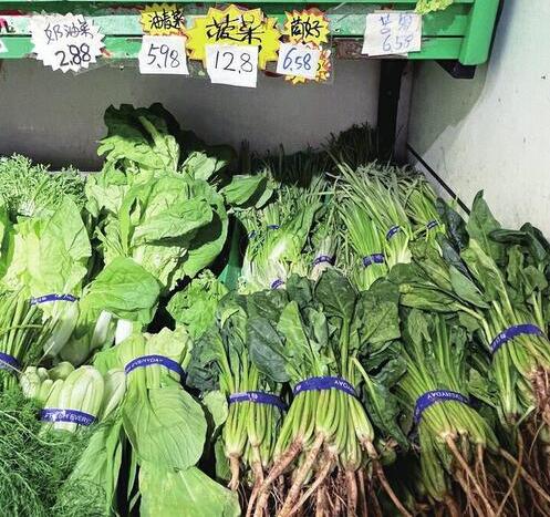青菜比肉贵，还要涨到什么时候