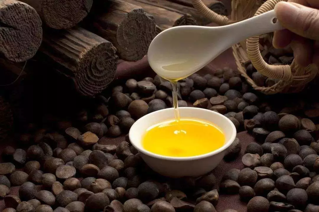 靓货分享｜山茶油，为什么被称为“国宝油”？