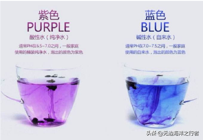 食材小科普：黑枸杞泡水（茶）后是什么颜色最好？