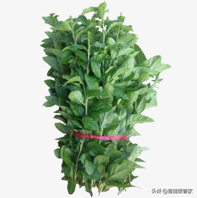 孕妇能吃枸杞叶吗(孕妇能吃枸杞叶吗 初期 三个月)-第1张图片-鲸幼网