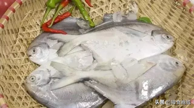鲳鱼吃法五花八门，每款海鲜都有各自的特色