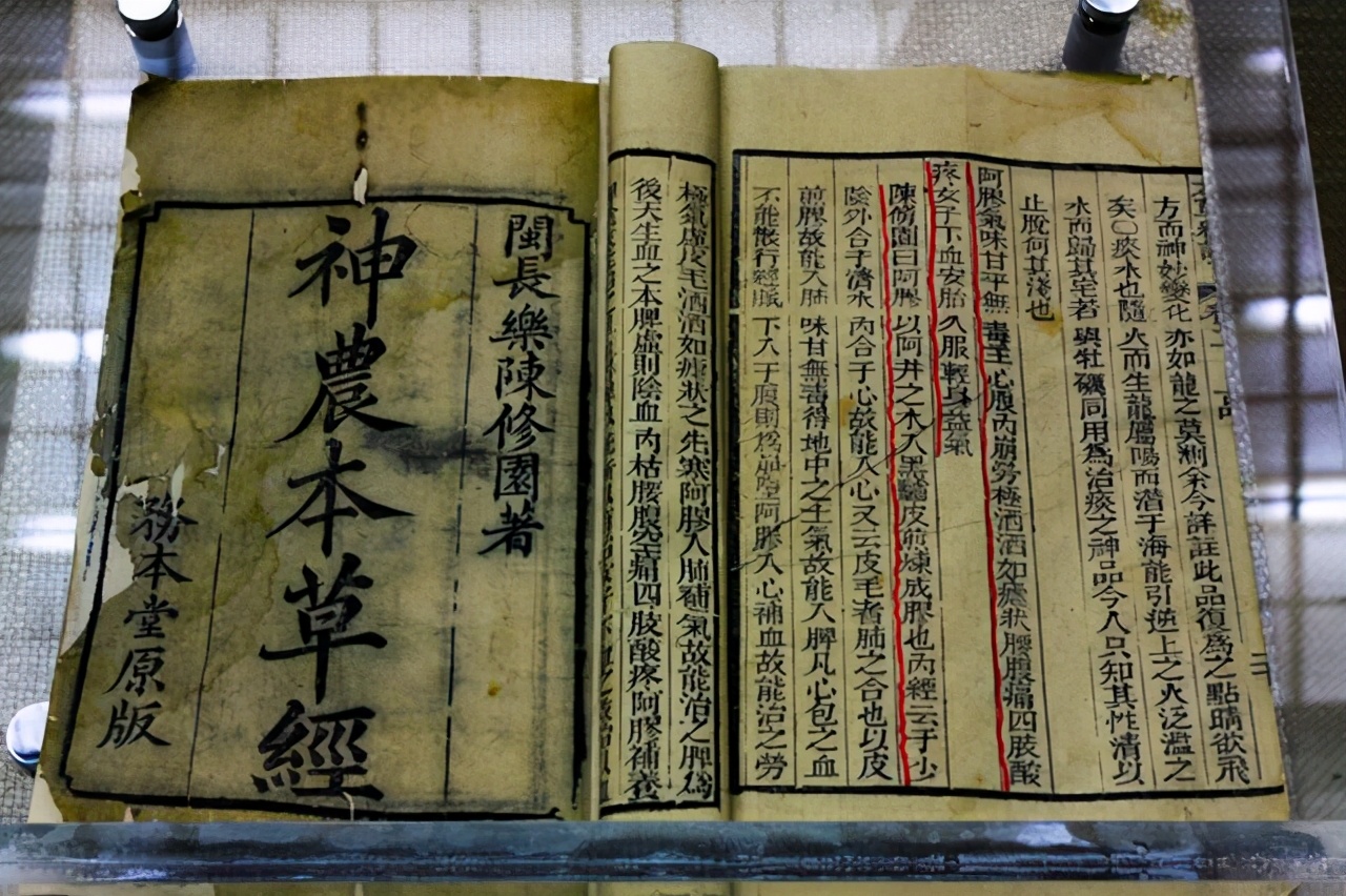 在《神农本草经《本草纲目》等多部医药学著作中,阿胶均被列入"