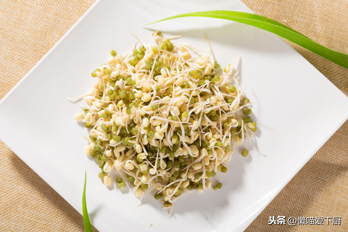 黄豆芽保存原来如此简单,牢记3个诀窍,豆芽不烂根,真实用