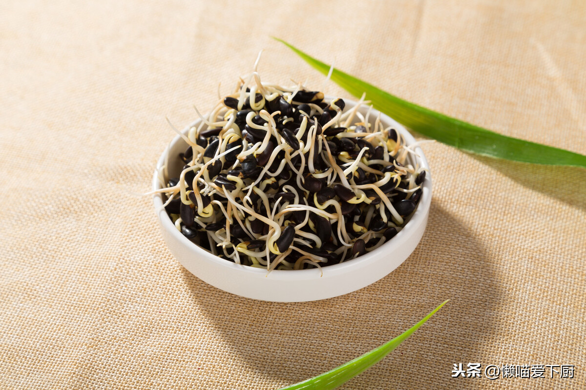 黄豆芽保存原来如此简单,牢记3个诀窍,豆芽不烂根,真实用