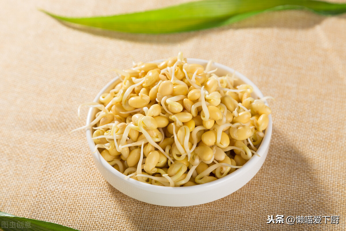 黄豆芽保存原来如此简单,牢记3个诀窍,豆芽不烂根,真实用