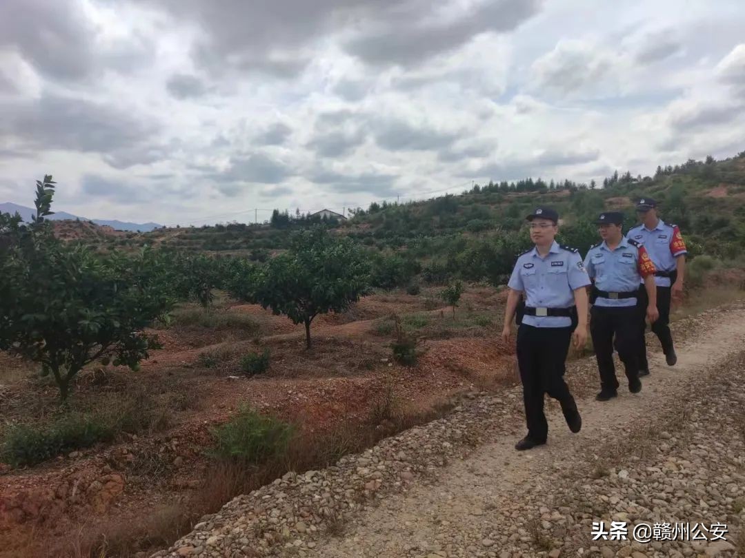 刚刚,赣南脐橙开摘时间定了!警方还有重要提醒…