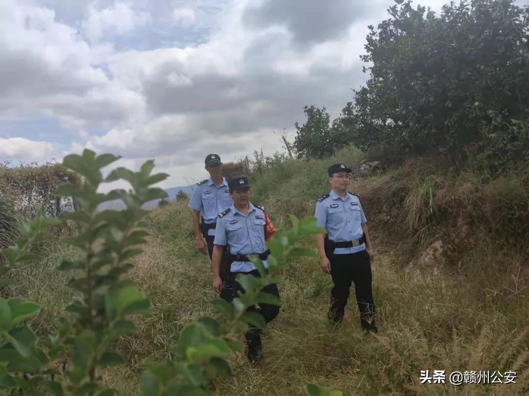 刚刚,赣南脐橙开摘时间定了!警方还有重要提醒…