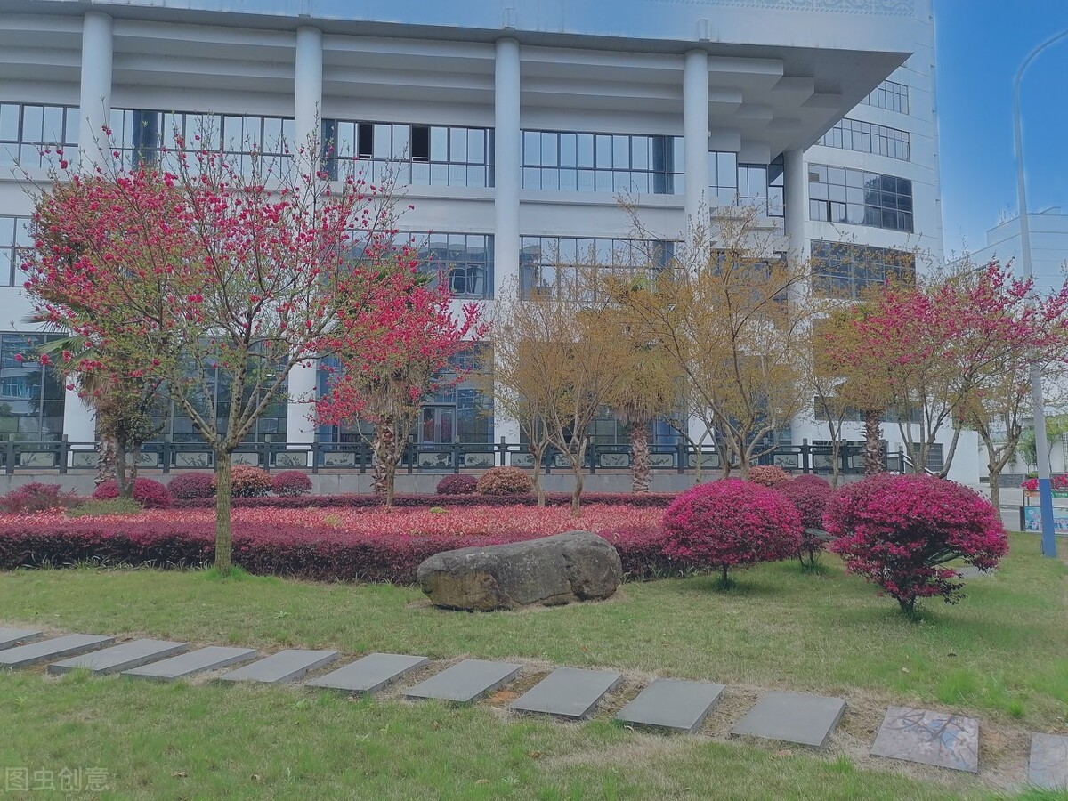 重点大学为什么都有附属中学呢?原因有3点,很多人都理解错了