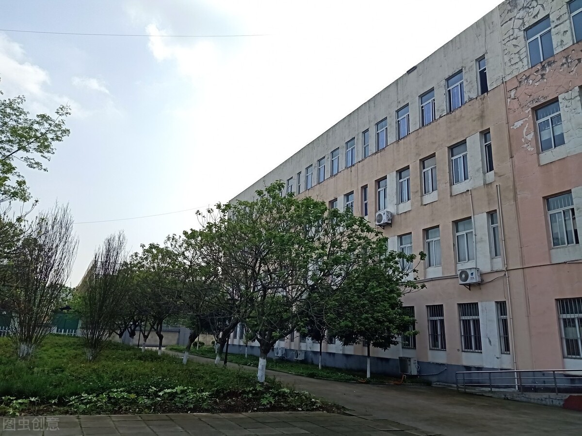 重点大学为什么都有附属中学呢?原因有3点,很多人都理解错了