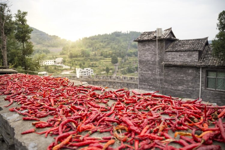 农村留守妇女痛诉：“激情失去，与他之间只剩下生活”