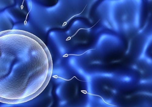 共享单车骑得多，小蝌蚪直哆嗦！要“精”喜就该这样动、这样吃