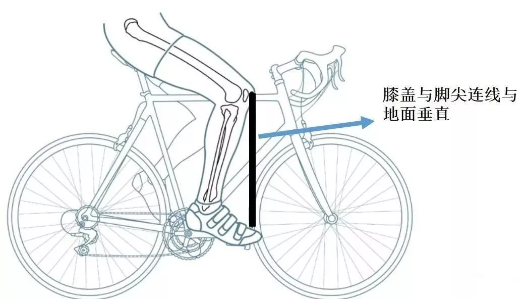 共享单车骑得多，小蝌蚪直哆嗦！要“精”喜就该这样动、这样吃