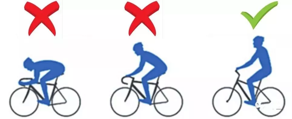 共享单车骑得多，小蝌蚪直哆嗦！要“精”喜就该这样动、这样吃