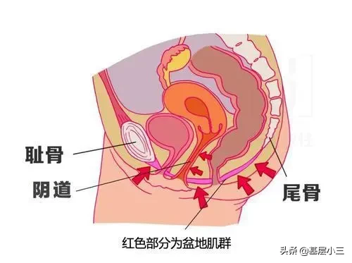 女人的性与爱：那些享受性生活的人，都做对了什么？