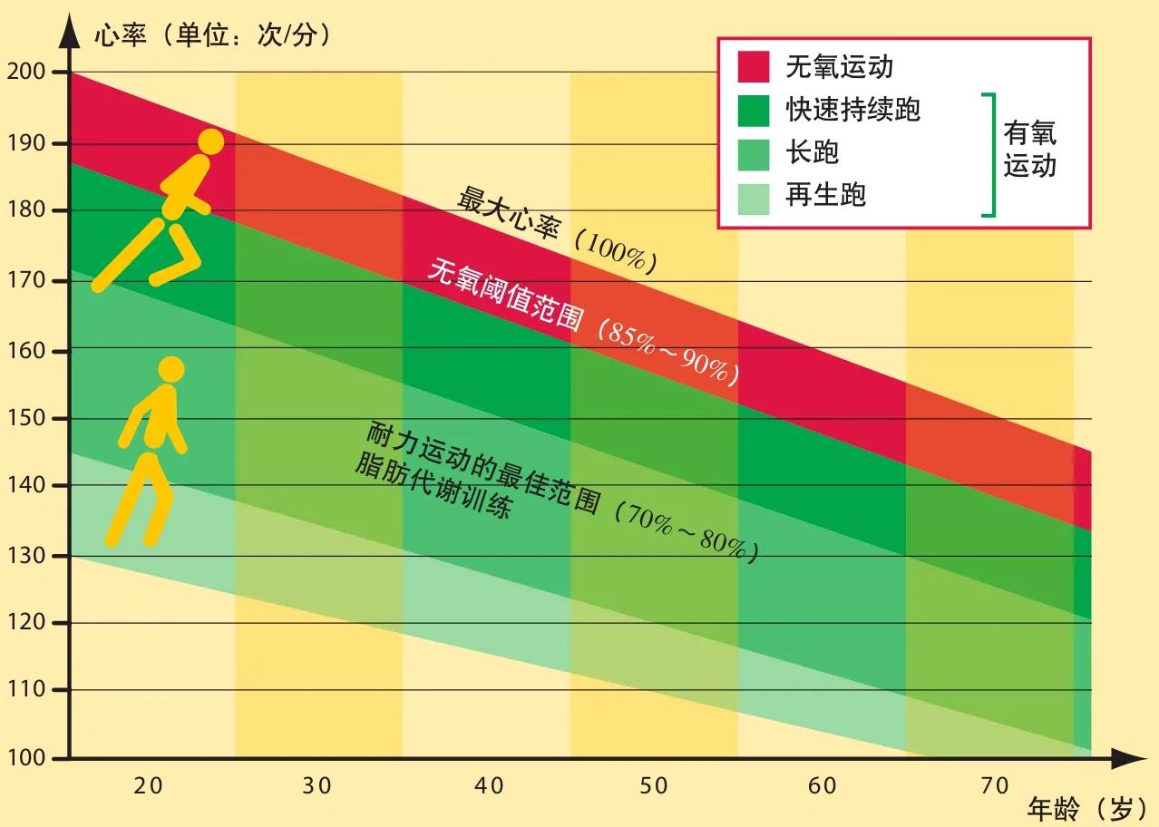 跑步喘怎么办?怎样才能降低跑步心率?跑得又快又稳