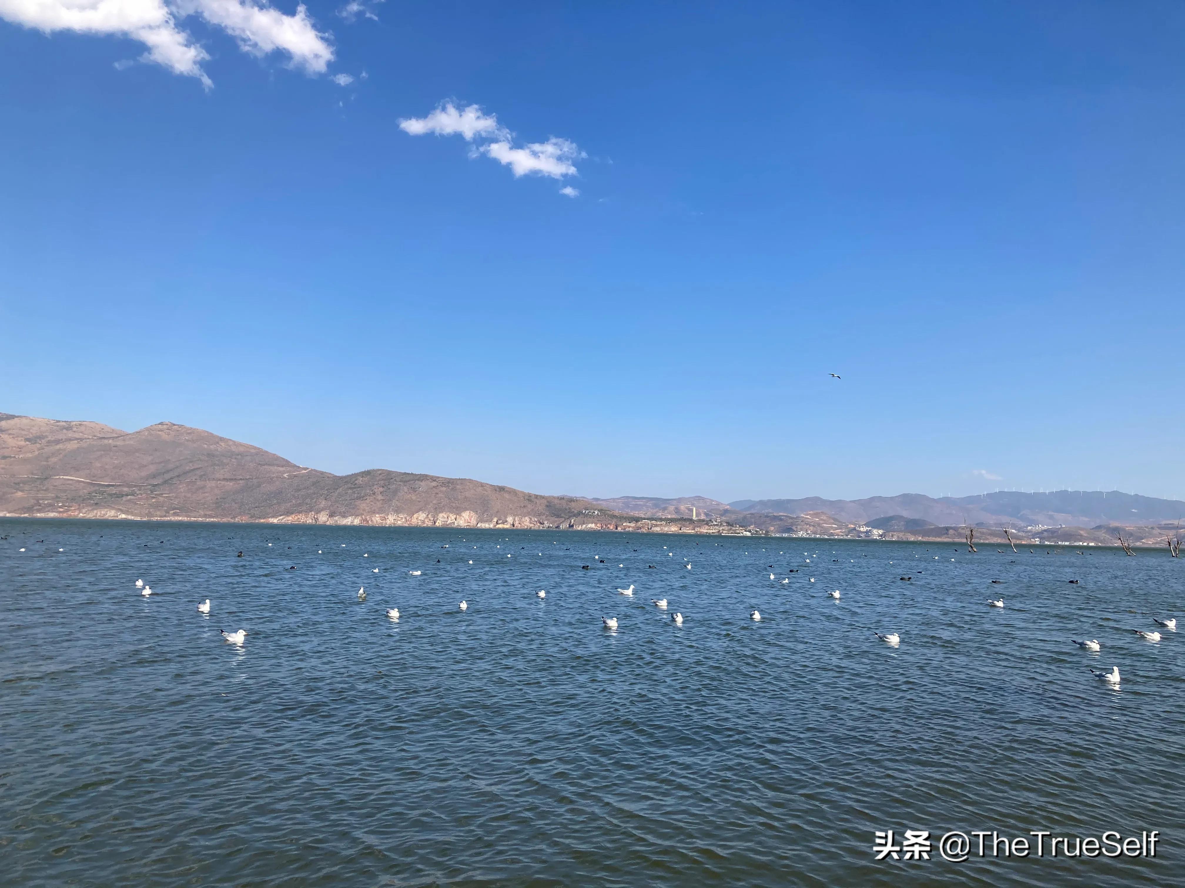如何在这浮躁的时代，静下心来？