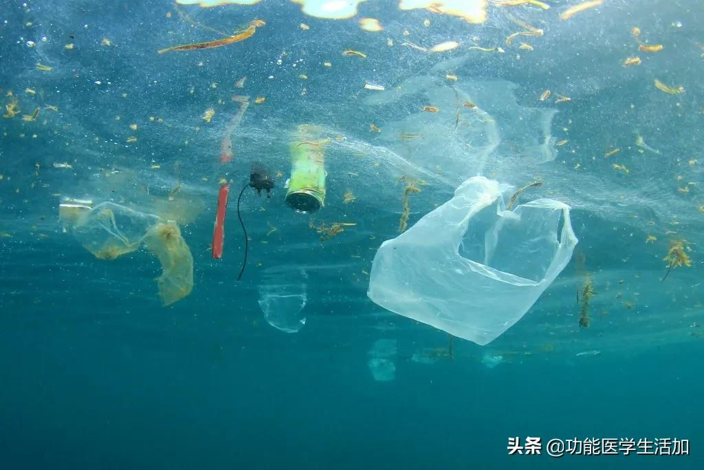 “塑料微粒”以各种方式被我们所吞食！对健康的危害已不容忽视