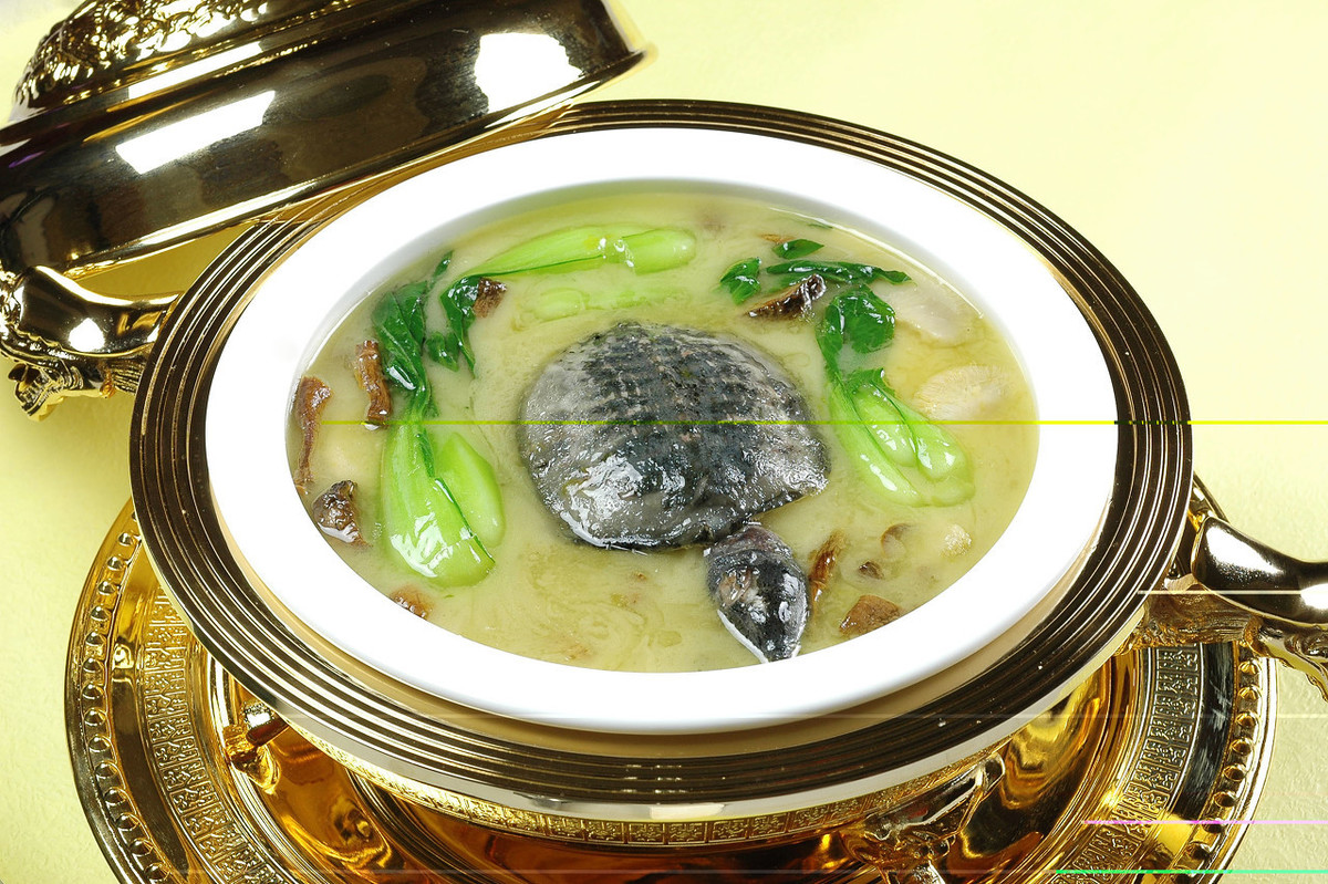 疫情下，甲鱼被禁止食用？虽然很多人吃甲鱼，但是这3类人要谨慎
