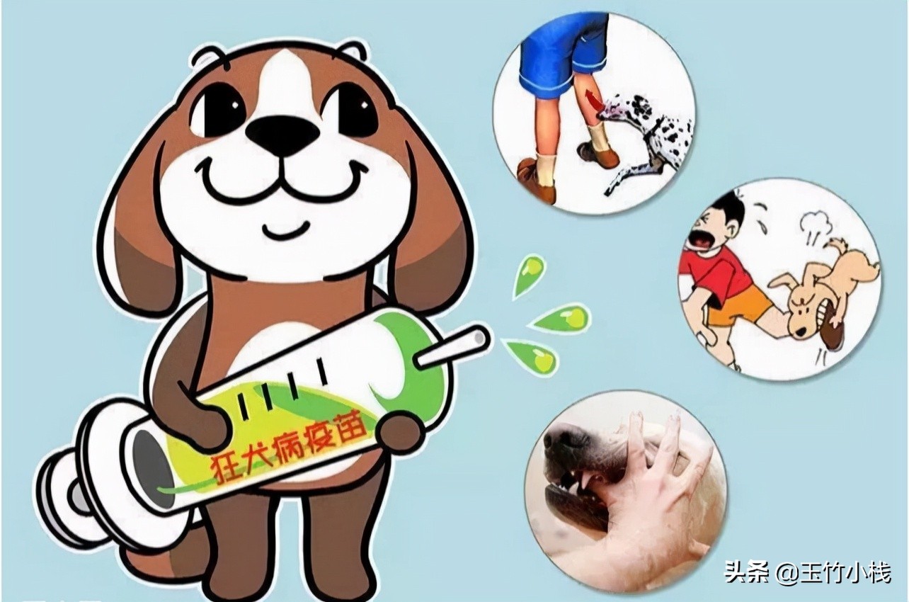 被人咬伤后要不要扎狂犬疫苗？