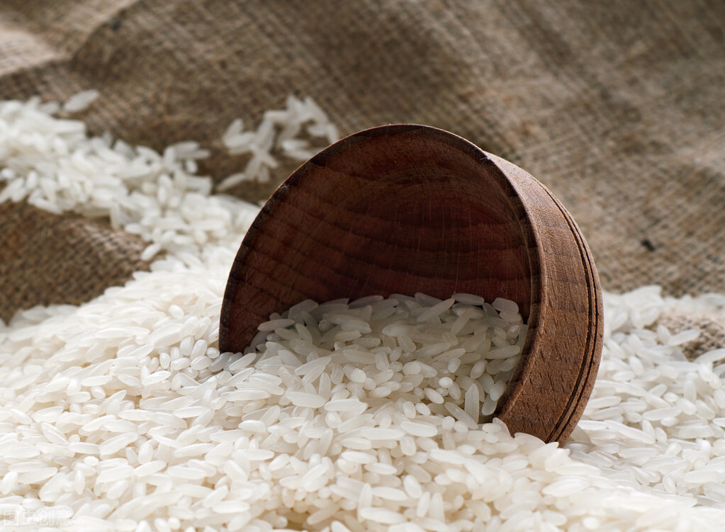 保存大米秘籍！让家里的米再也不生米虫