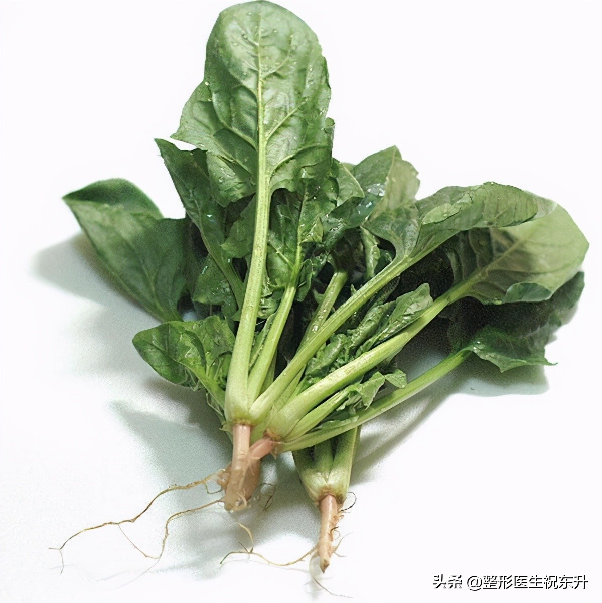 医生常吃的这些食物,含维生素E最多