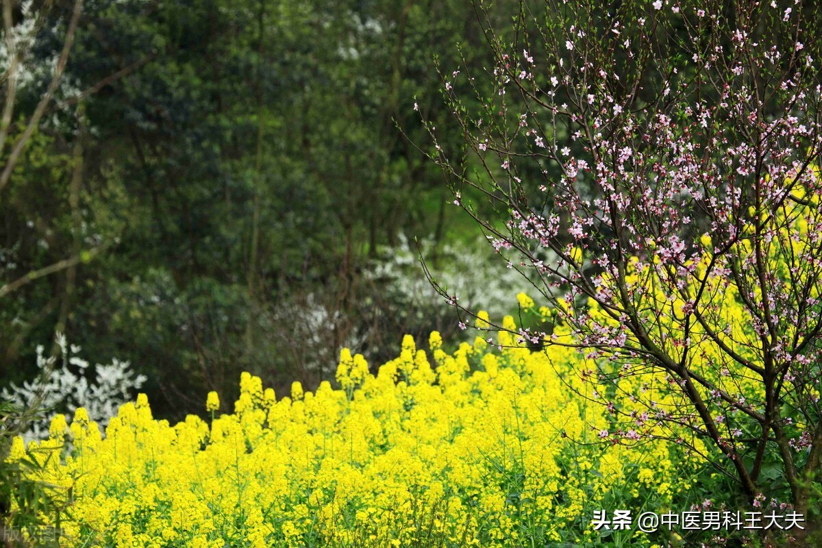 经常听人说,出汗多是肾虚的表现,到底真相是怎么样的?