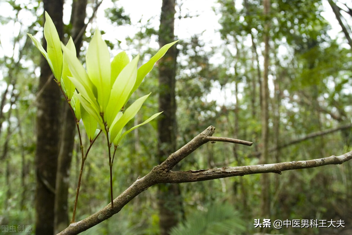 经常听人说,出汗多是肾虚的表现,到底真相是怎么样的?