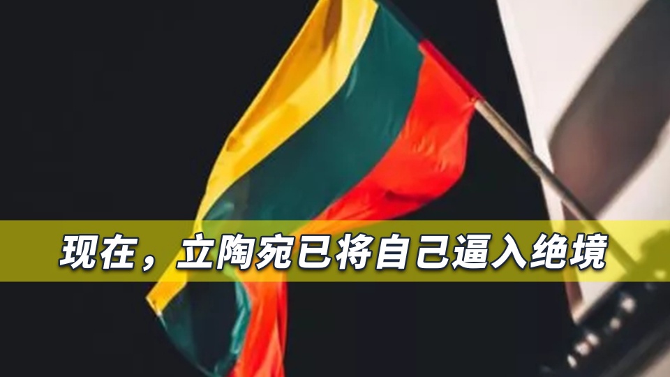 俄媒：立陶宛面临失去中国商品危险