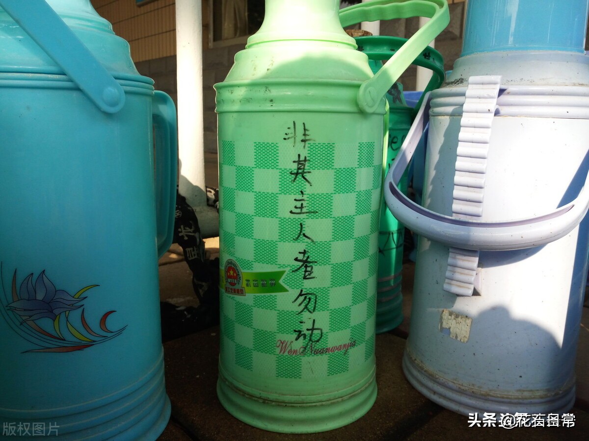 这几天经常在宿舍发现蟑螂