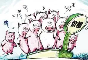 经济日报：猪价尚未出现向上拐点