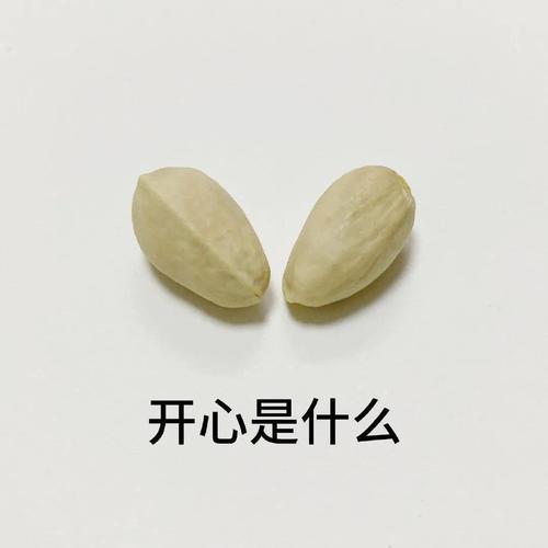 坚果盘点(三)