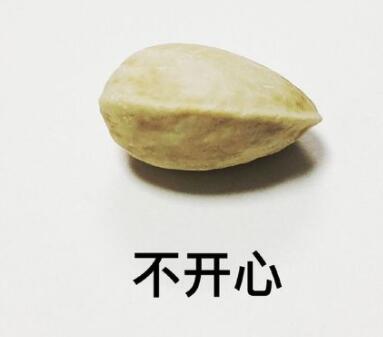 坚果盘点(三)