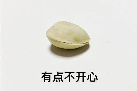 坚果盘点(三)