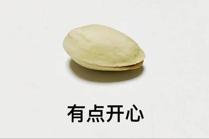 坚果盘点(三)