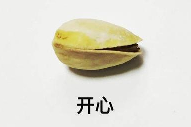 坚果盘点(三)
