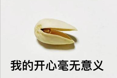 坚果盘点(三)