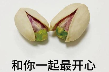 坚果盘点(三)