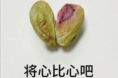 坚果盘点(三)