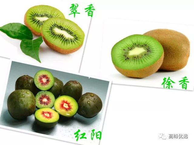 具有养颜美白效果的猕猴桃,今天你吃过了吗?