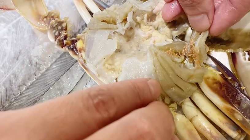 什么？螃蟹里面居然有“寄生虫”，这种粉色小虫子原来叫茗荷