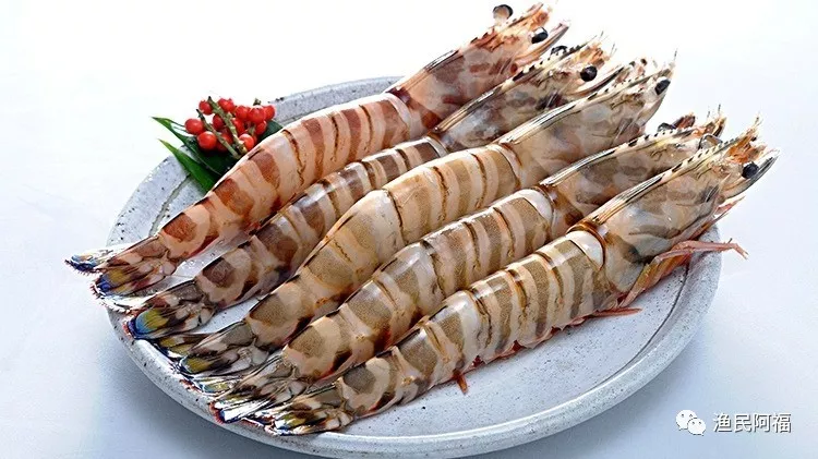 孕妇可以吃海鲜吗?适合孕妇吃的海鲜有哪些?