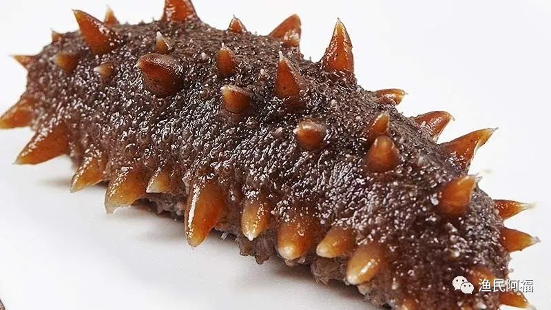 孕妇可以吃海鲜吗?适合孕妇吃的海鲜有哪些?